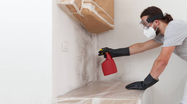 Professional Hvac And Air Duct Mold Remediation technician working in Morganville, NJ